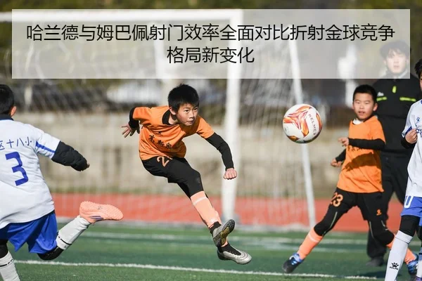 img_1783512772398_66_1_221.jpg